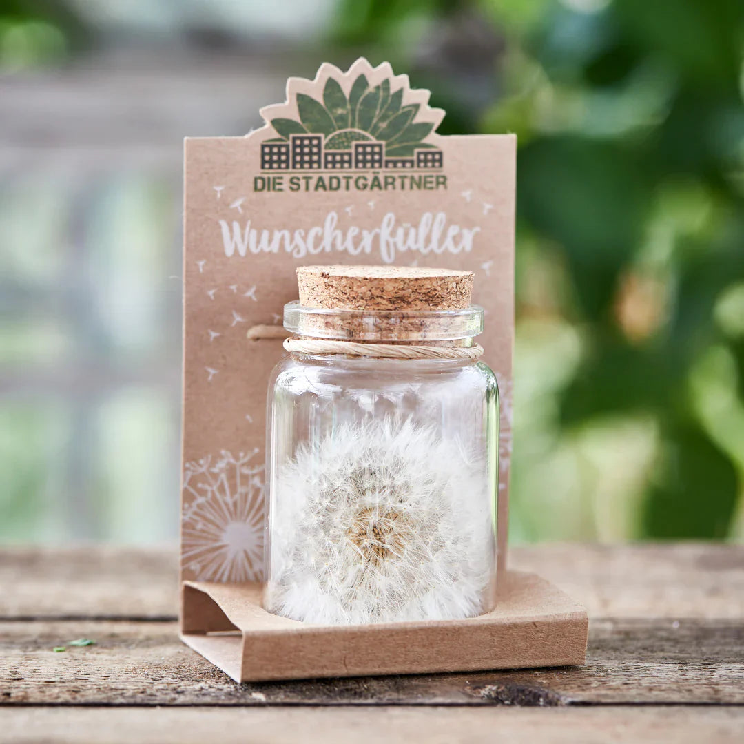 Großer Wunscherfüller – Pusteblume im Glas 