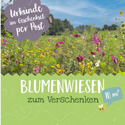 Blühpatenschafts-Geschenkset 