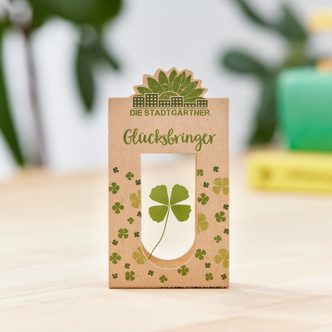 Glücksbringer – Echtes Kleeblatt 