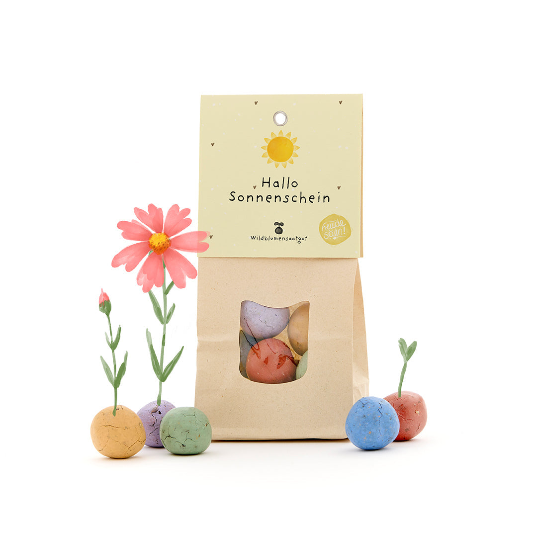 Hallo Sonnenschein - Bunte Blumenmurmeln 