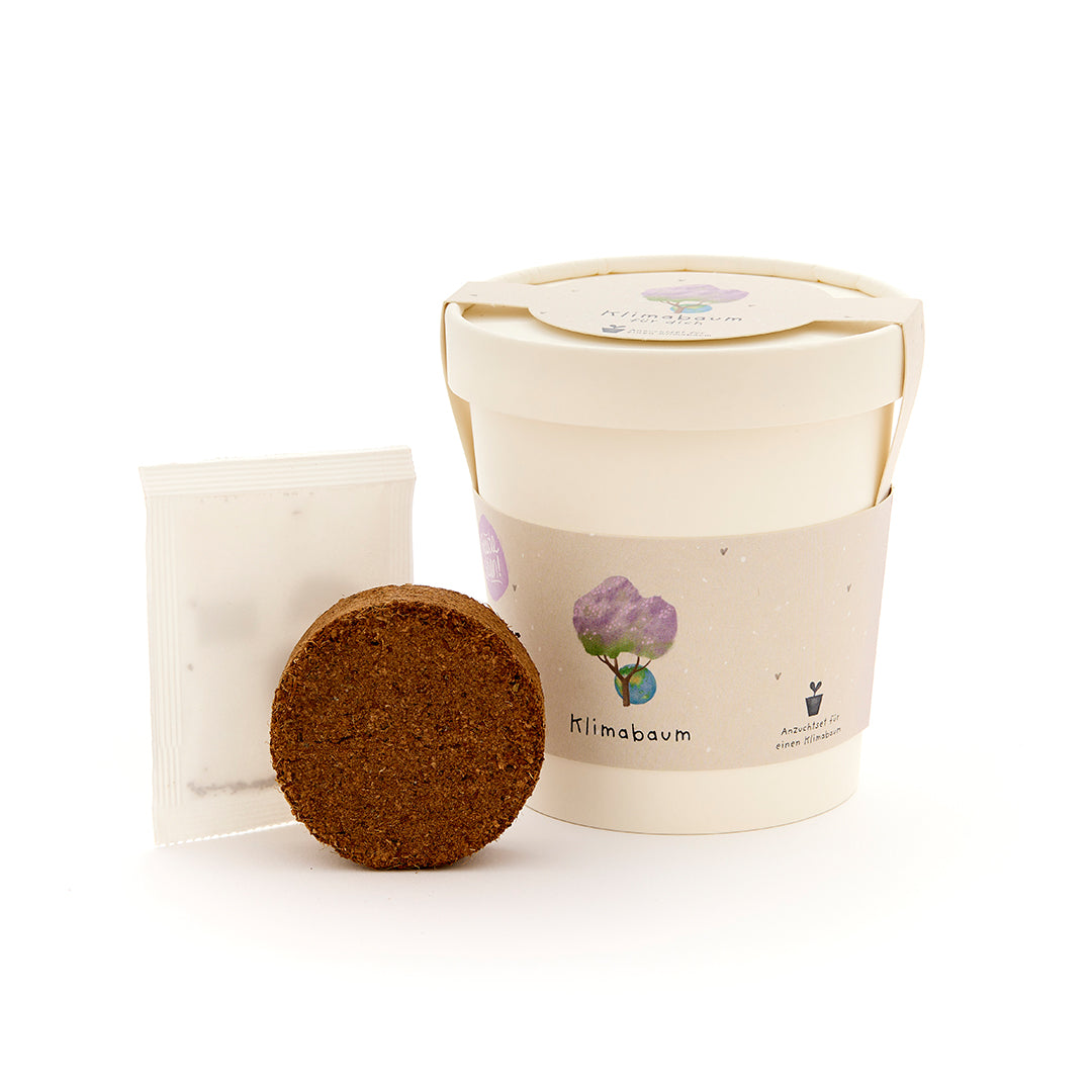 Klimabaum - Becher 