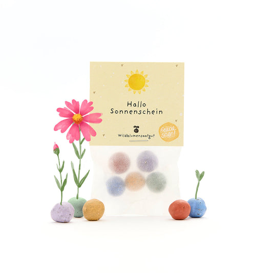 5 Blumenmurmeln im Tütchen "Hallo Sonnenschein" 