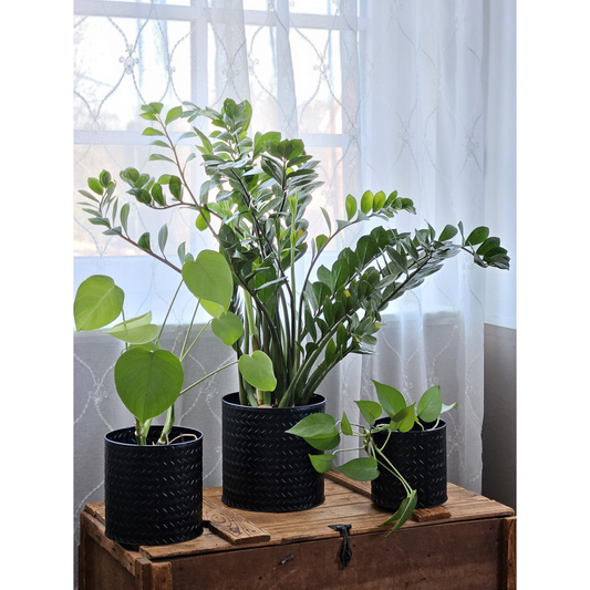 Blumentopf Übertopf Pflanzenkübel Topf Kübel 3er Set schwarz rund Metall Matt 