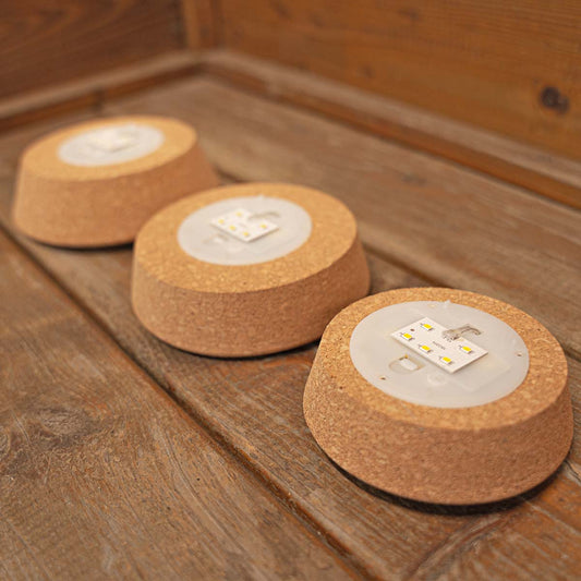 Cork With Led - Terrarium Cork With Light -  3 Sizes Available 