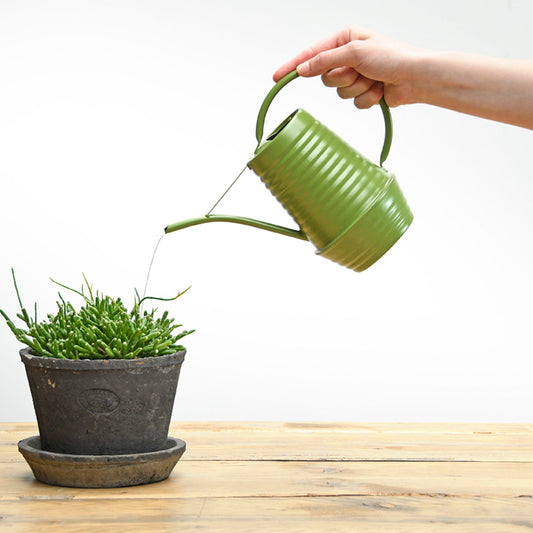Green Indoor Watering Can - 19 Cm High 