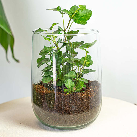 Vase Martin - Diy Kit - ↑ 17 Cm 