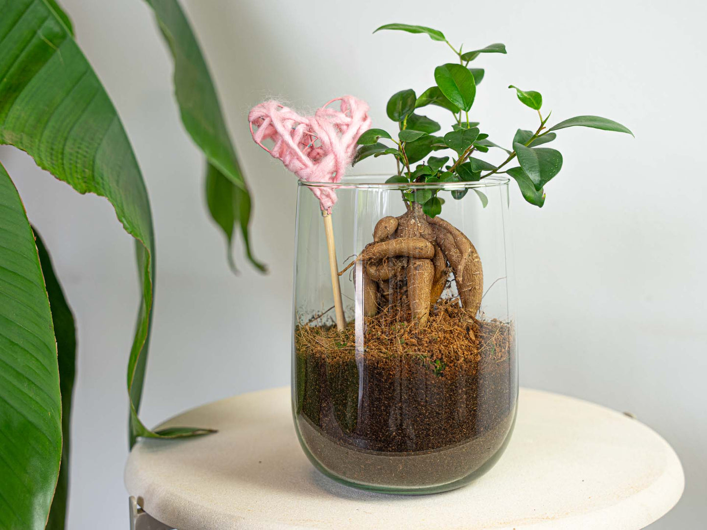Vase Martin - Diy Kit - ↑ 17 Cm 