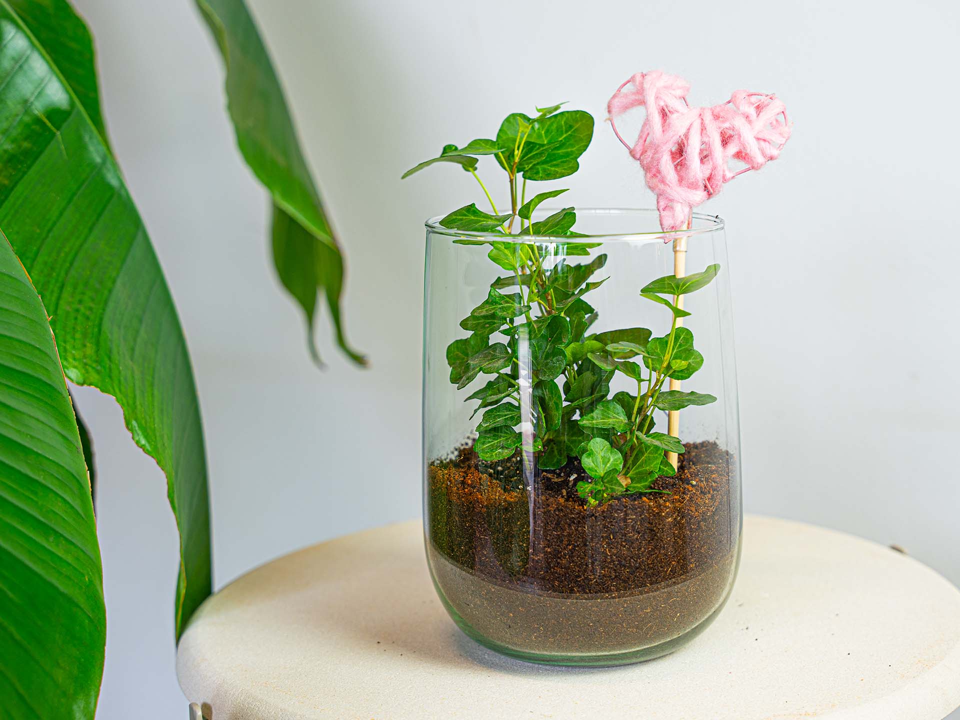 Vase Martin - Diy Kit - ↑ 17 Cm 