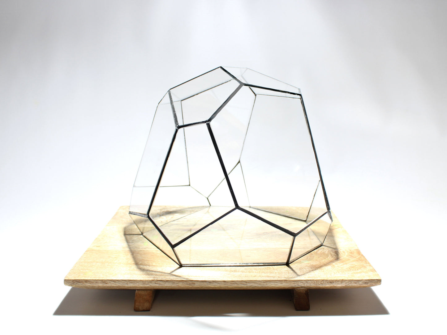 Geometric Terrarium - Torno - Vivarium - ↑ 28 X 26 X 24 Cm (Lxwxh) - Glass 