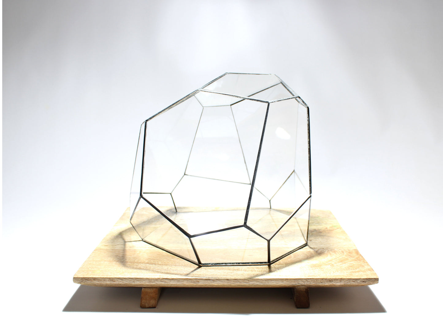 Geometric Terrarium - Torno - Vivarium - ↑ 28 X 26 X 24 Cm (Lxwxh) - Glass 
