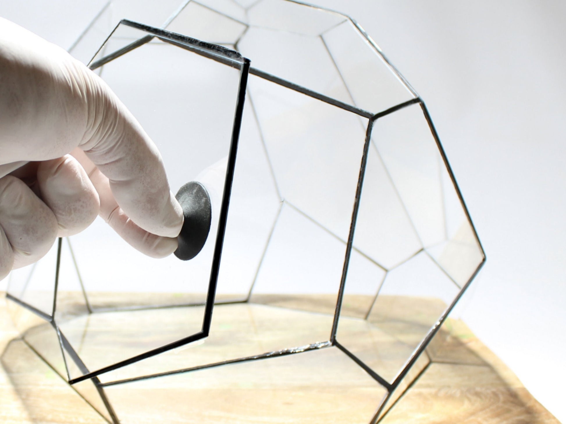 Geometric Terrarium - Torno - Vivarium - ↑ 28 X 26 X 24 Cm (Lxwxh) - Glass 