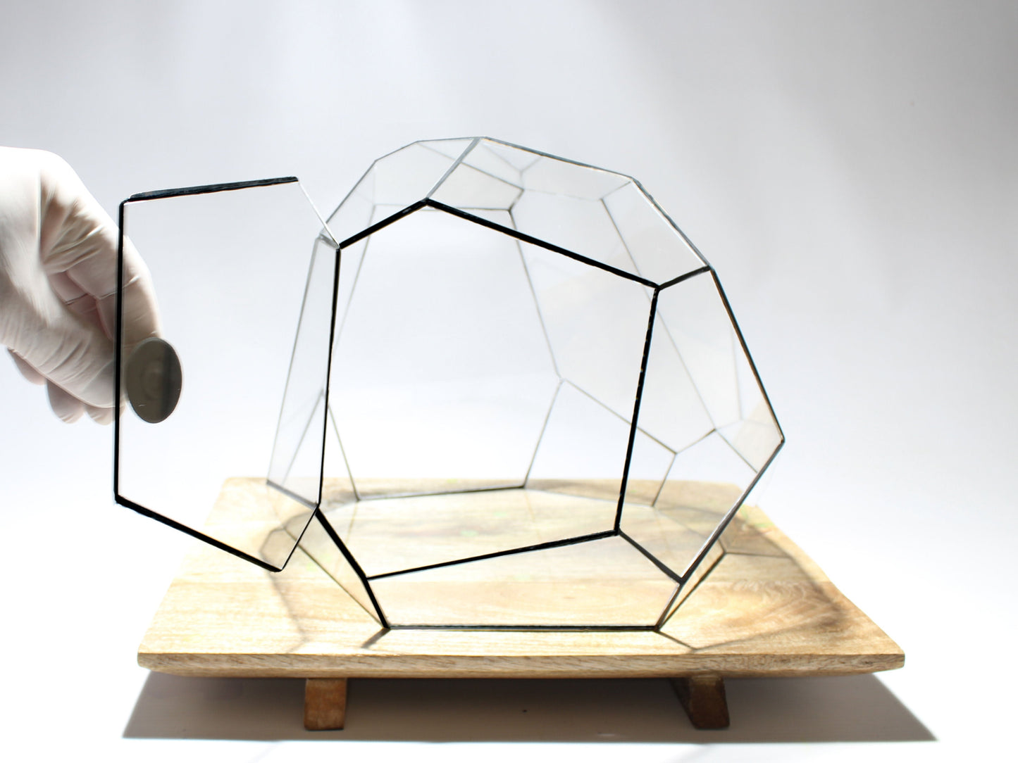 Geometric Terrarium - Torno - Vivarium - ↑ 28 X 26 X 24 Cm (Lxwxh) - Glass 