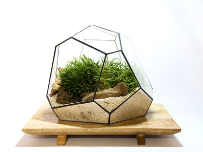 Geometric Terrarium - Torno - Vivarium - ↑ 28 X 26 X 24 Cm (Lxwxh) - Glass 