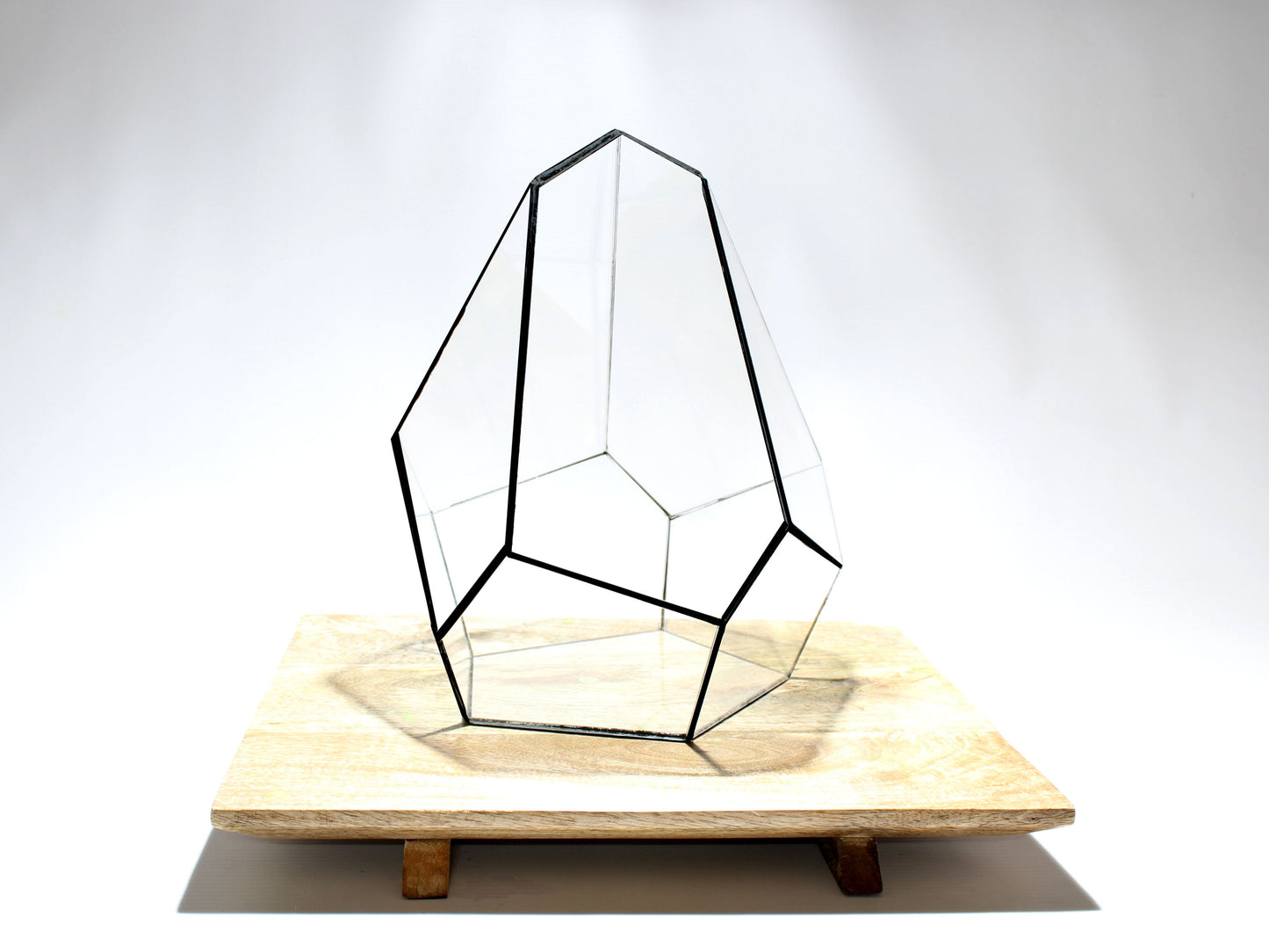 Geometric Terrarium - Jungle Gem - Vivarium - ↑ 16 X 15 X 19,5 Cm (Lxwxh) - Glass 
