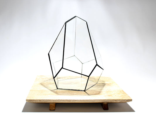Geometric Terrarium - Jungle Gem - Vivarium - ↑ 16 X 15 X 19,5 Cm (Lxwxh) - Glass 