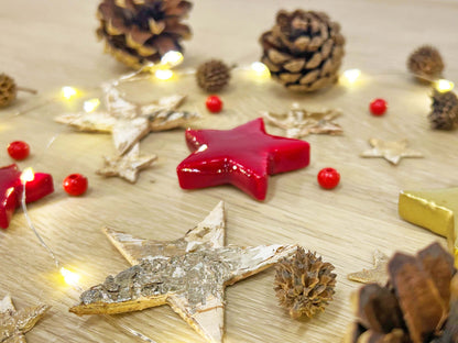 Christmas Terrarium Decoration Kit! 