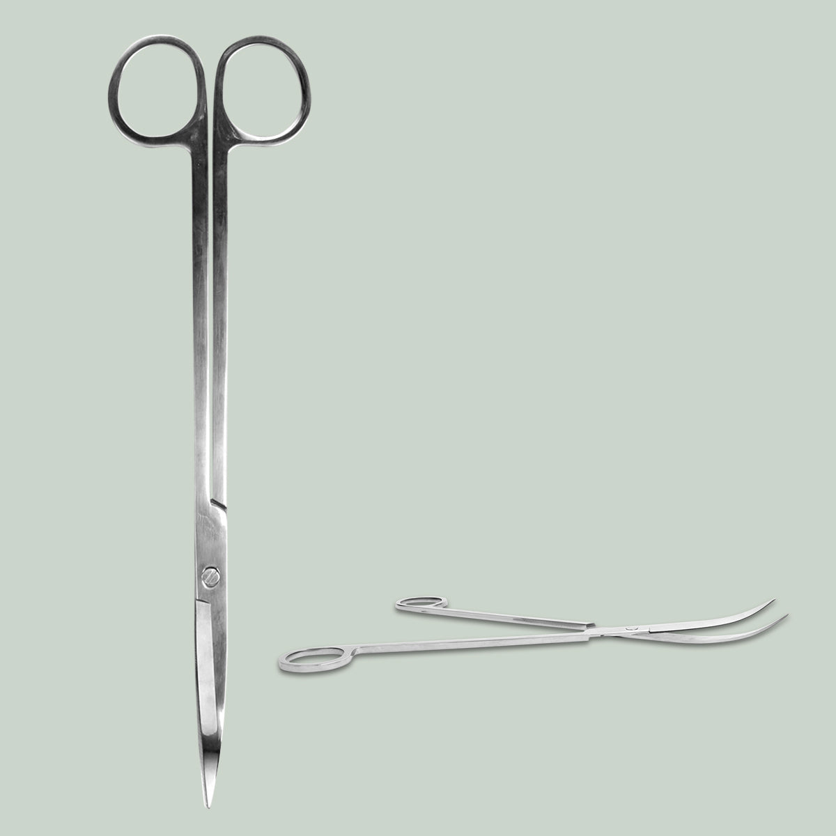 Terrarium Scissors - Metal - 25 Cm - Extra Long - Curved Blades - Stainless Steel 