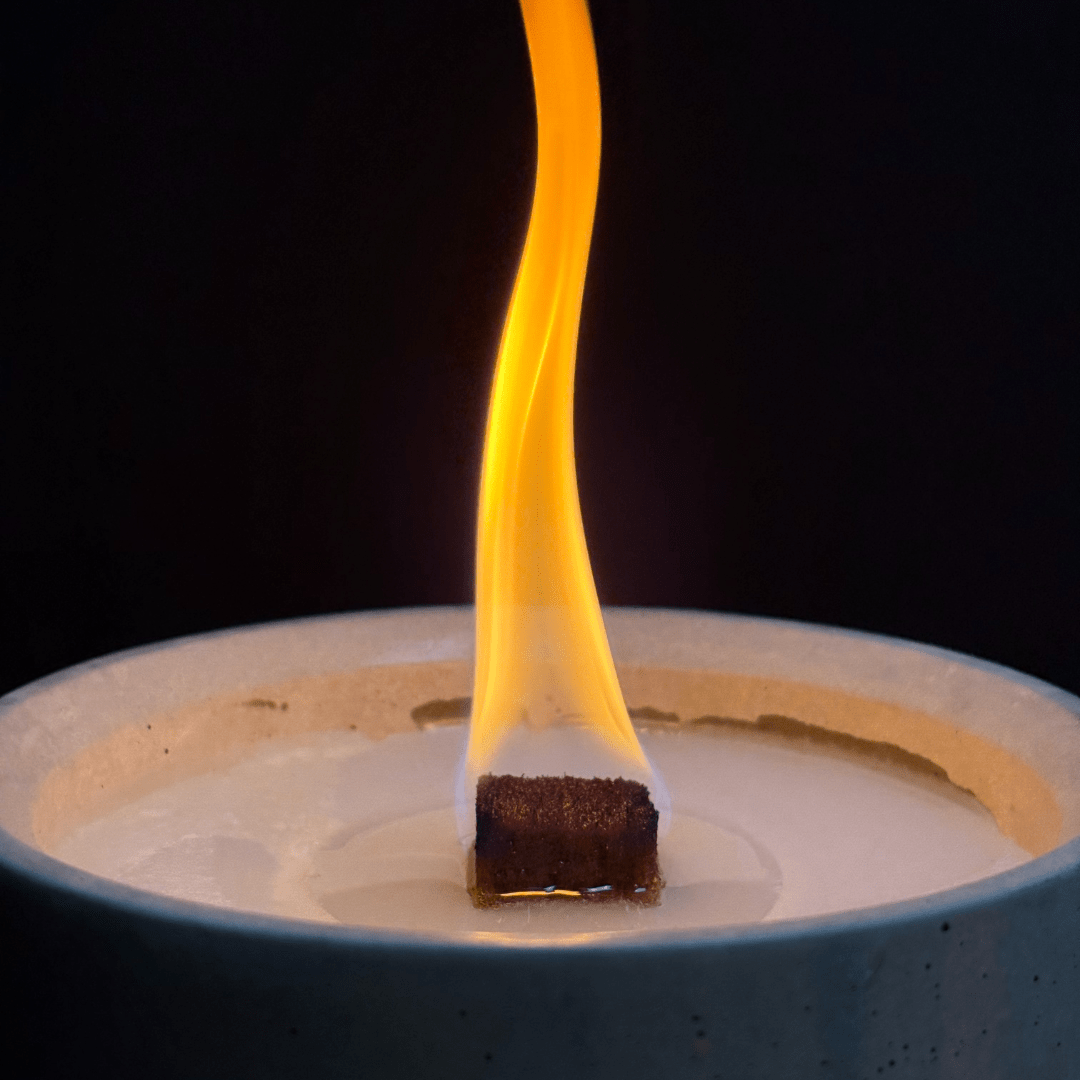 Dauerfeuer CLARUS (2er Set) 