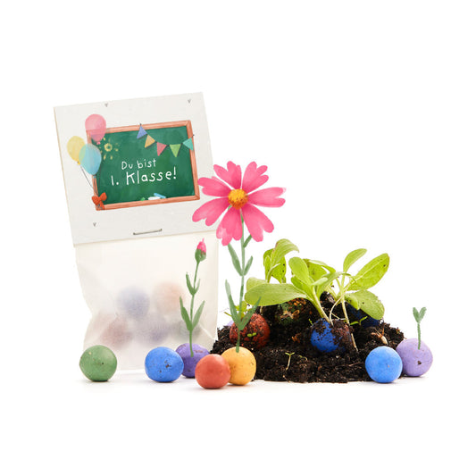 5 Blumenmurmeln im Tütchen zur Einschulung "Du bist 1. Klasse" 