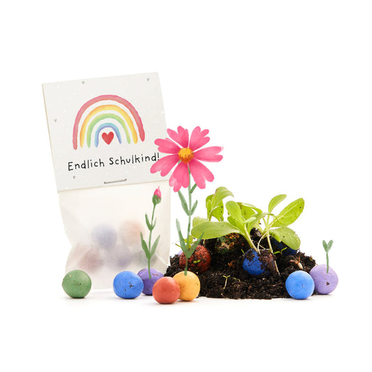 5 Blumenmurmeln im Tütchen zur Einschulung "Endlich Schulkind" 