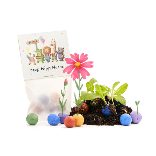 5 Blumenmurmeln im Tütchen zur Einschulung "Hipp Hipp Hurra!" 