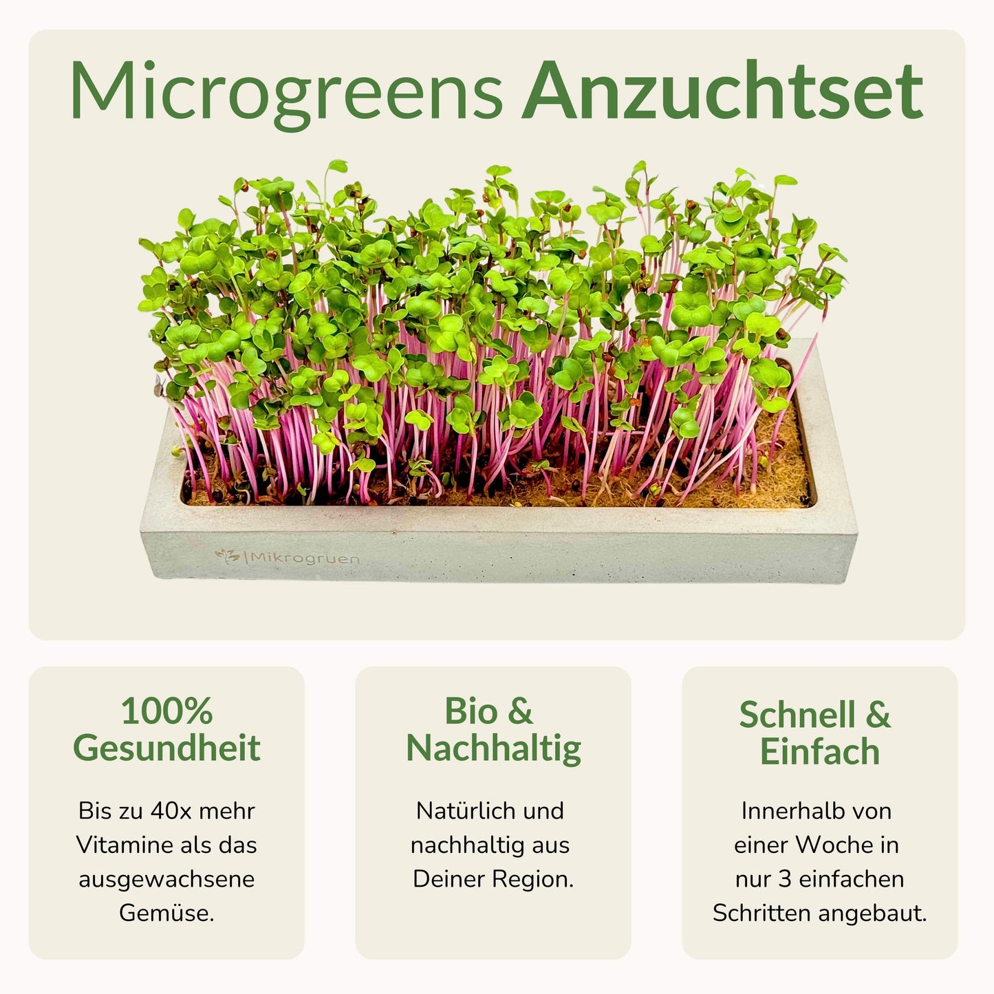 Microgreens Mini-Set 