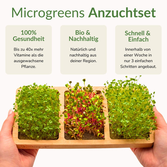 Microgreens Anzuchtset - Echtholz Traum 