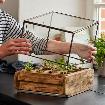 Hochwertiges Anzuchthaus mit 16 Fächern 