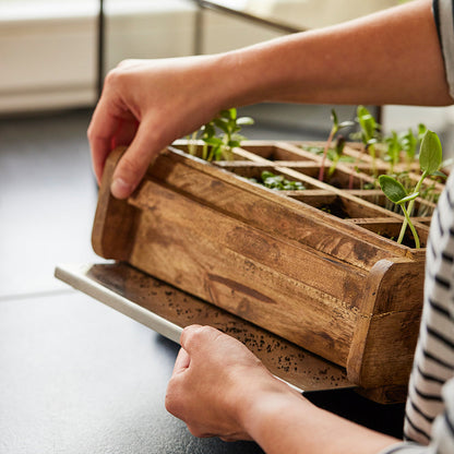 Hochwertiges Anzuchthaus mit 16 Fächern 
