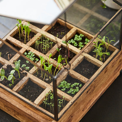 Hochwertiges Anzuchthaus mit 16 Fächern 
