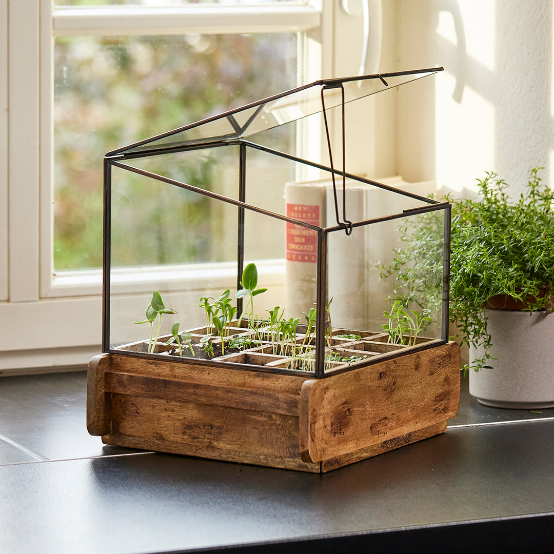 Hochwertiges Anzuchthaus mit 16 Fächern 