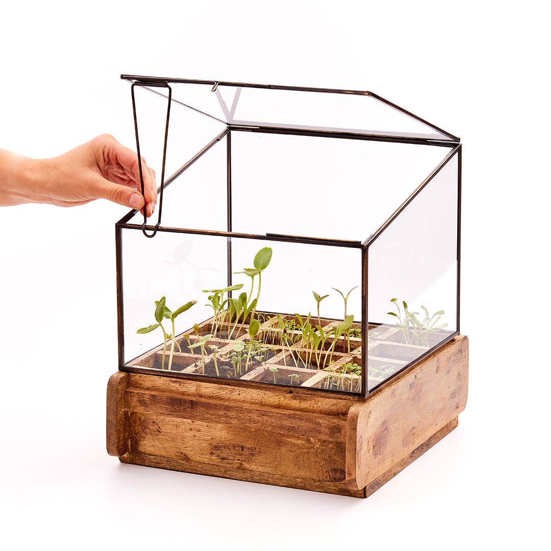 Hochwertiges Anzuchthaus mit 16 Fächern 