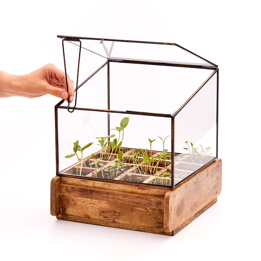 Hochwertiges Anzuchthaus mit 16 Fächern 