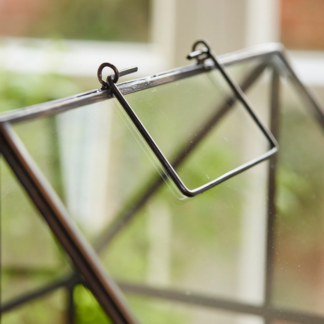 Hochwertiges Anzucht- und Gewächshaus 