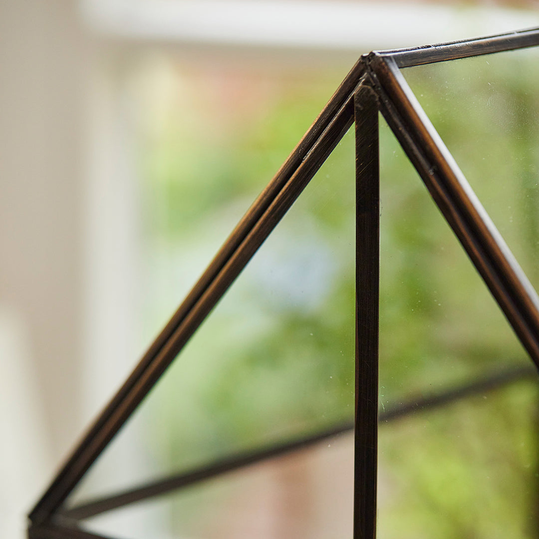 Hochwertiges Anzucht- und Gewächshaus 