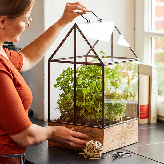 Hochwertiges Anzucht- und Gewächshaus 