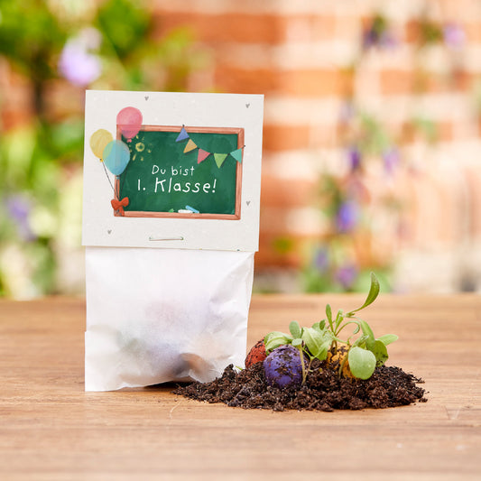 5 Blumenmurmeln im Tütchen zur Einschulung "Du bist 1. Klasse" 