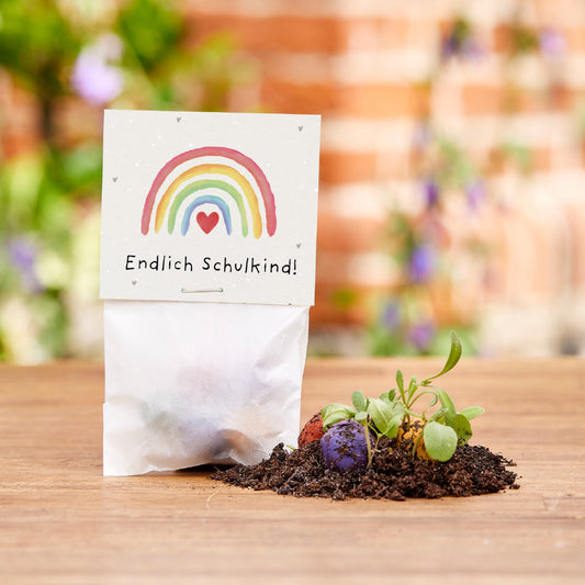 5 Blumenmurmeln im Tütchen zur Einschulung "Endlich Schulkind" 