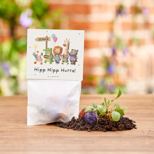 5 Blumenmurmeln im Tütchen zur Einschulung "Hipp Hipp Hurra!" 