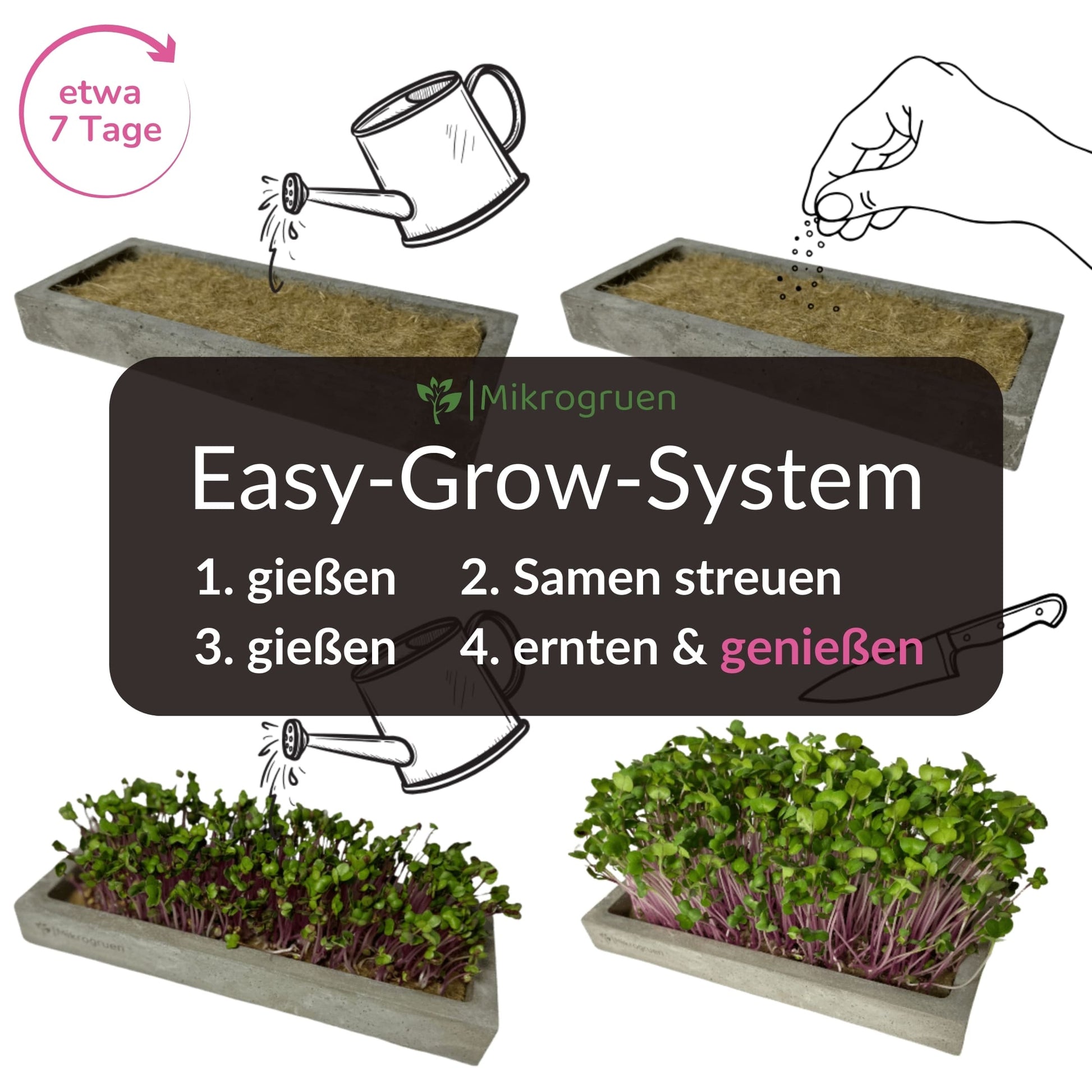Microgreens Nachfüllset 