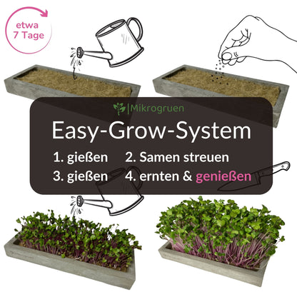 Microgreens Nachfüllset 