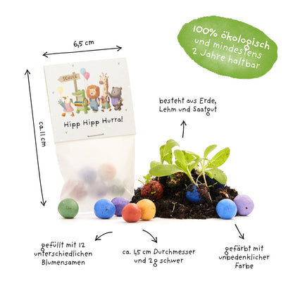 5 Blumenmurmeln im Tütchen zur Einschulung "Hipp Hipp Hurra!" 