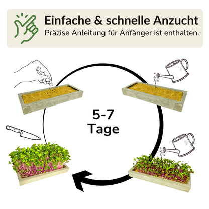 Microgreens Starter-Set 