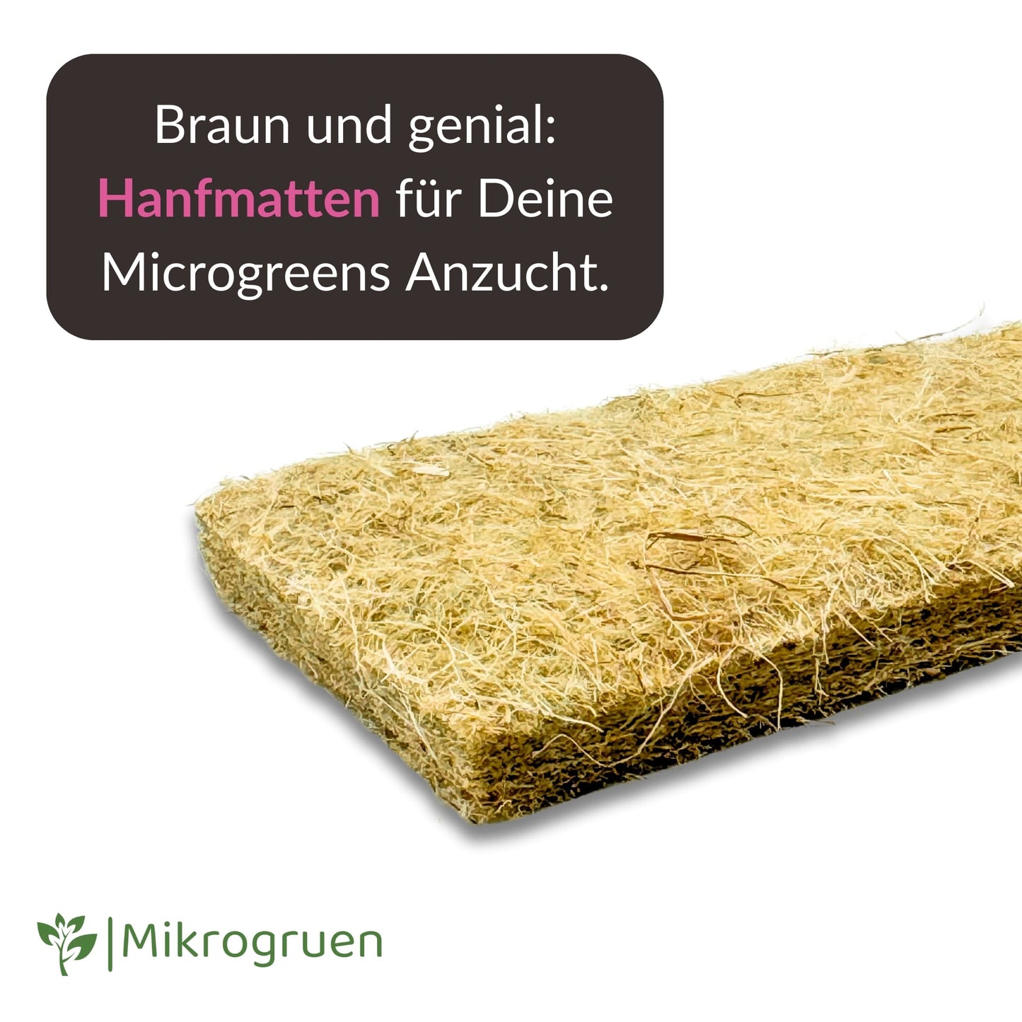 Microgreens Nachfüllset 