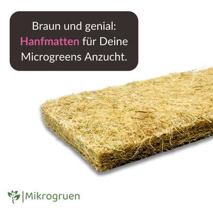 Microgreens Nachfüllset 