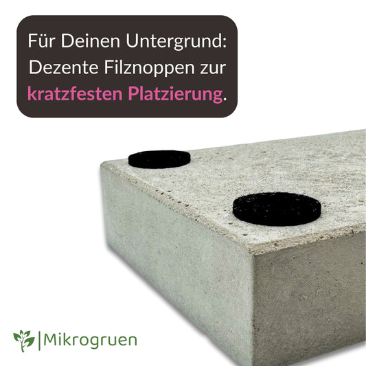 Anzuchtschale für Microgreens aus Beton 