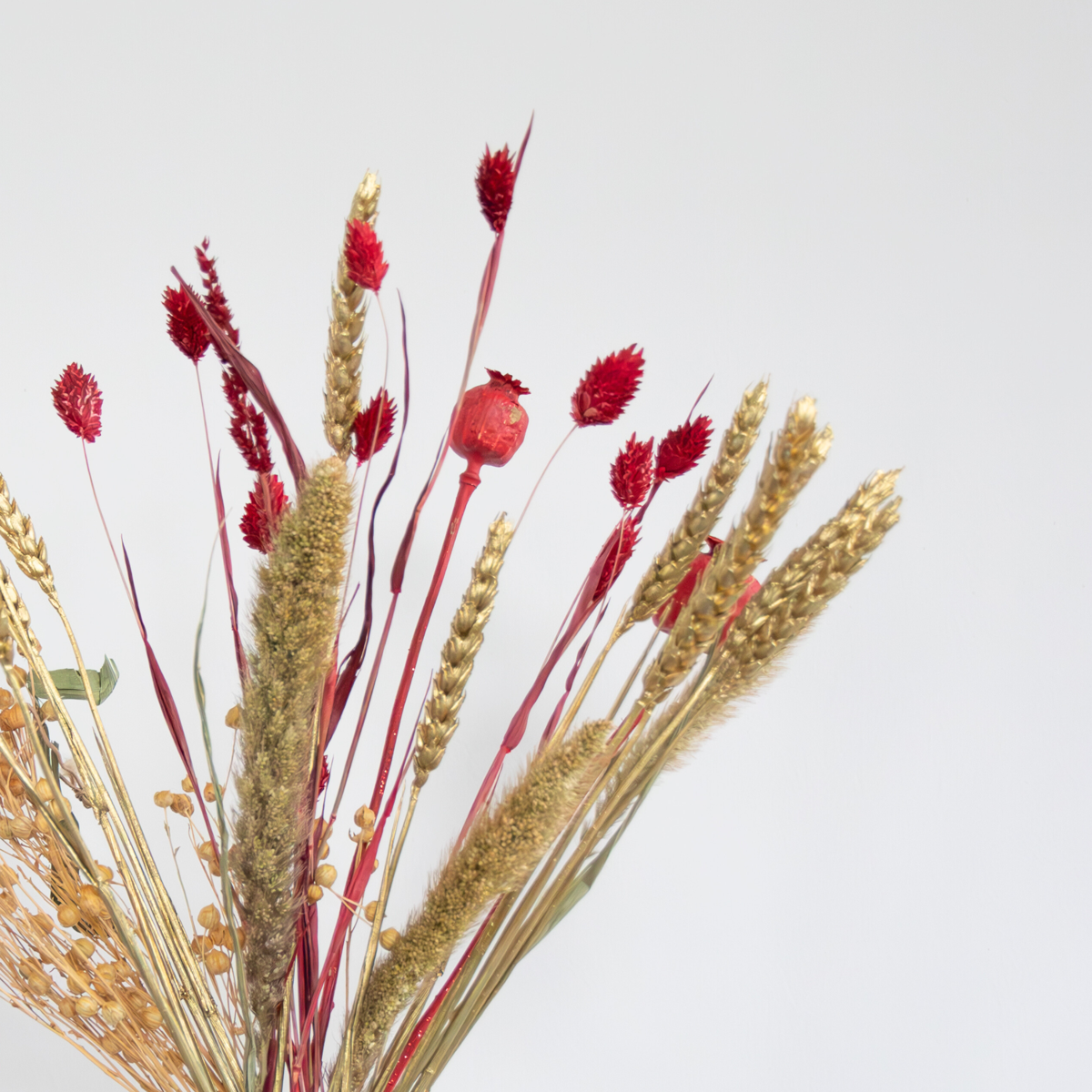 Dried Flowers Winterlicher Glamour-Blütenstrauß - Trockenblumen - Höhe 35 Cm 