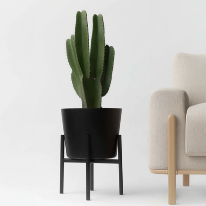 Cactus Cowboy-Kaktus - Euphorbia Ingens - Höhe 85-95Cm - ⌀24Cm 