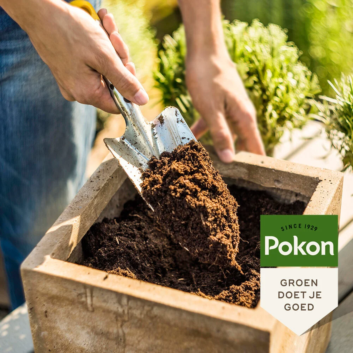 Potting Soil Pokon Blumenerde Compact - Kokoserde - Haus Und Garten - 10 Liter 