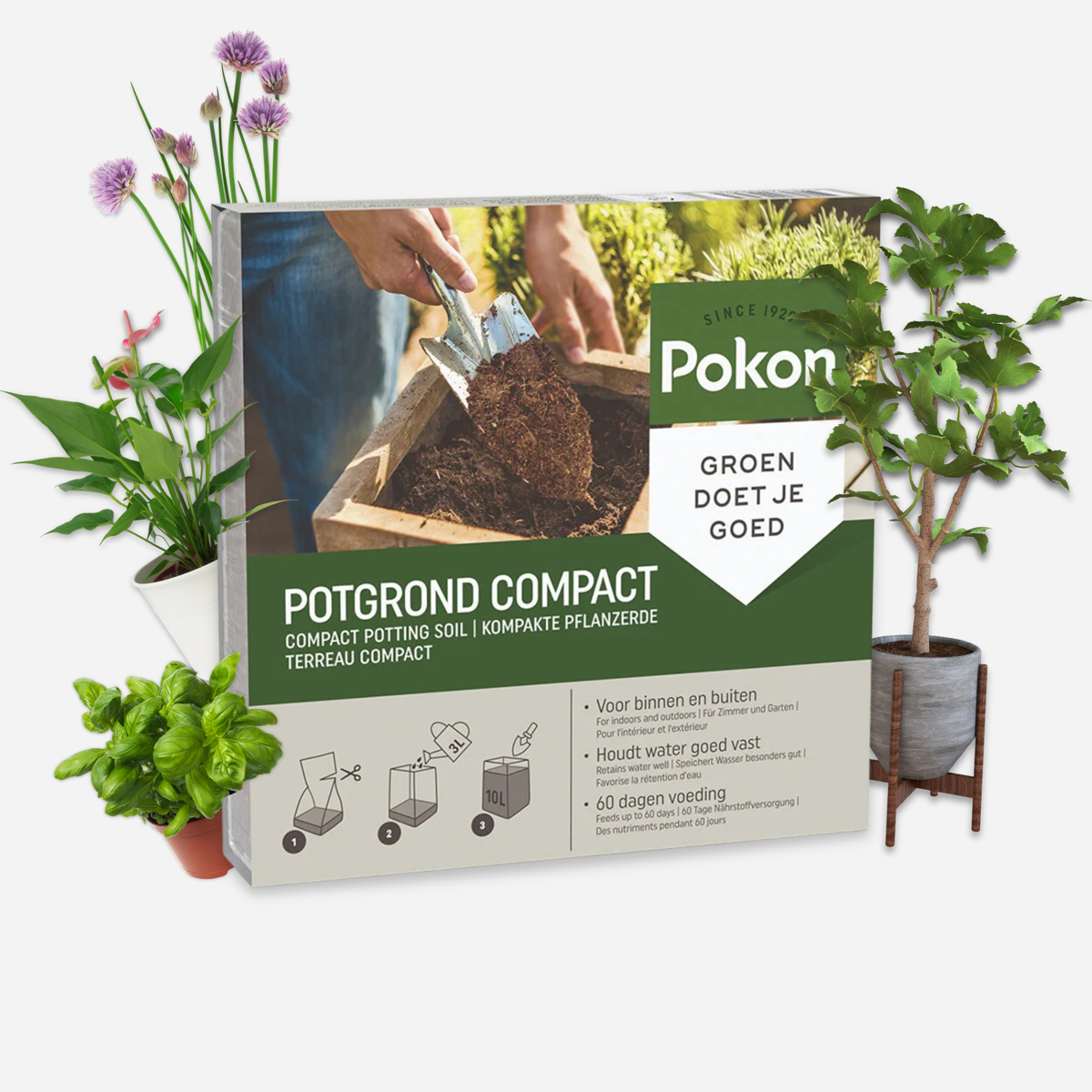 Potting Soil Pokon Blumenerde Compact - Kokoserde - Haus Und Garten - 10 Liter 